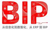 用友BIP-商业创新平台
